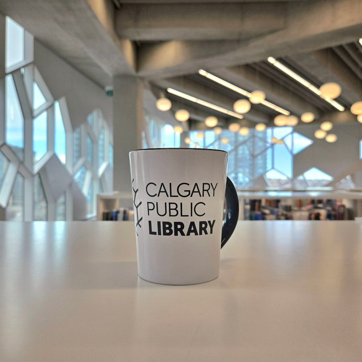 Library Ceramic Mug
