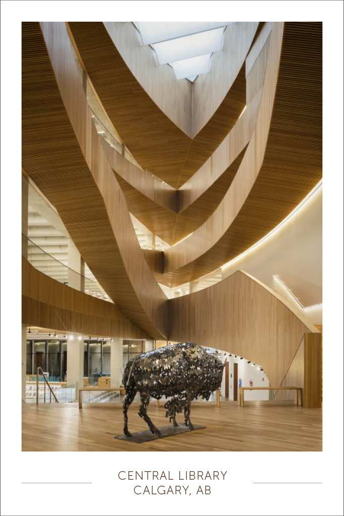 Central Library Postcard